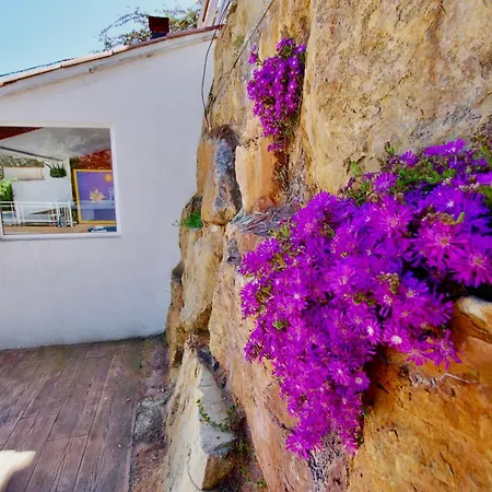 Villa V&v Lloret-villa Sunrise Preciosa Con Piscina Privada Lloret de Mar